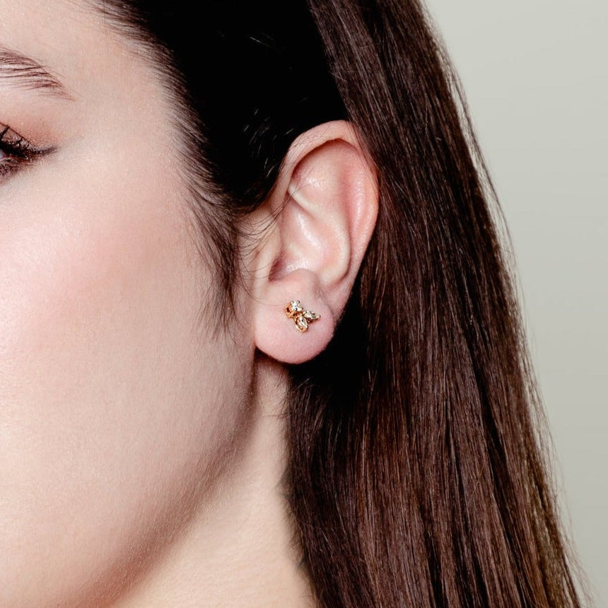 FANCY SOLITAIRE SOLARA EARRINGS