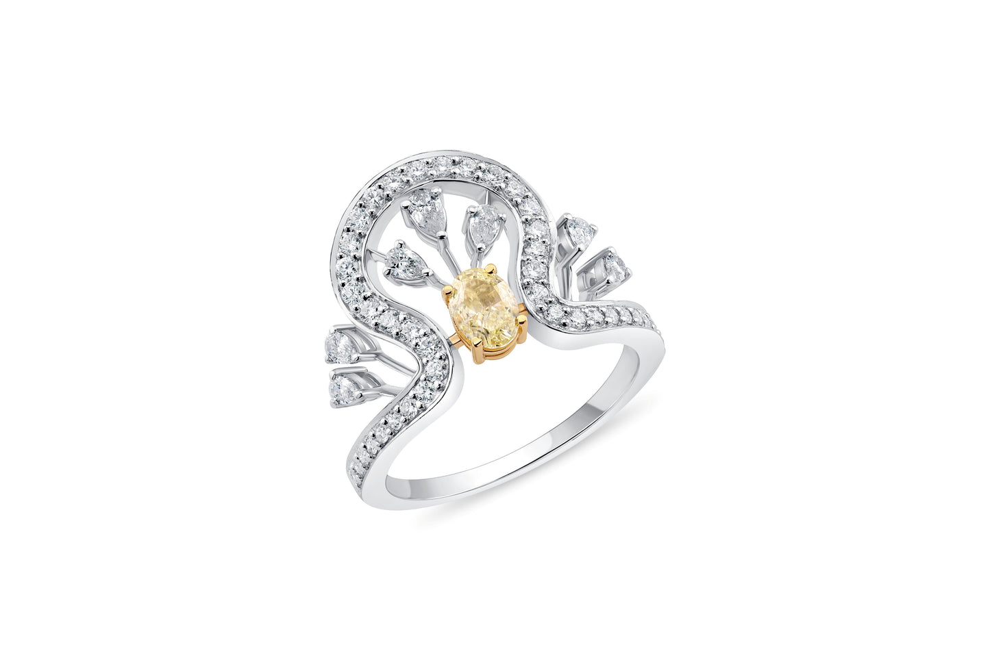 SYLVIENNE FANCY RING