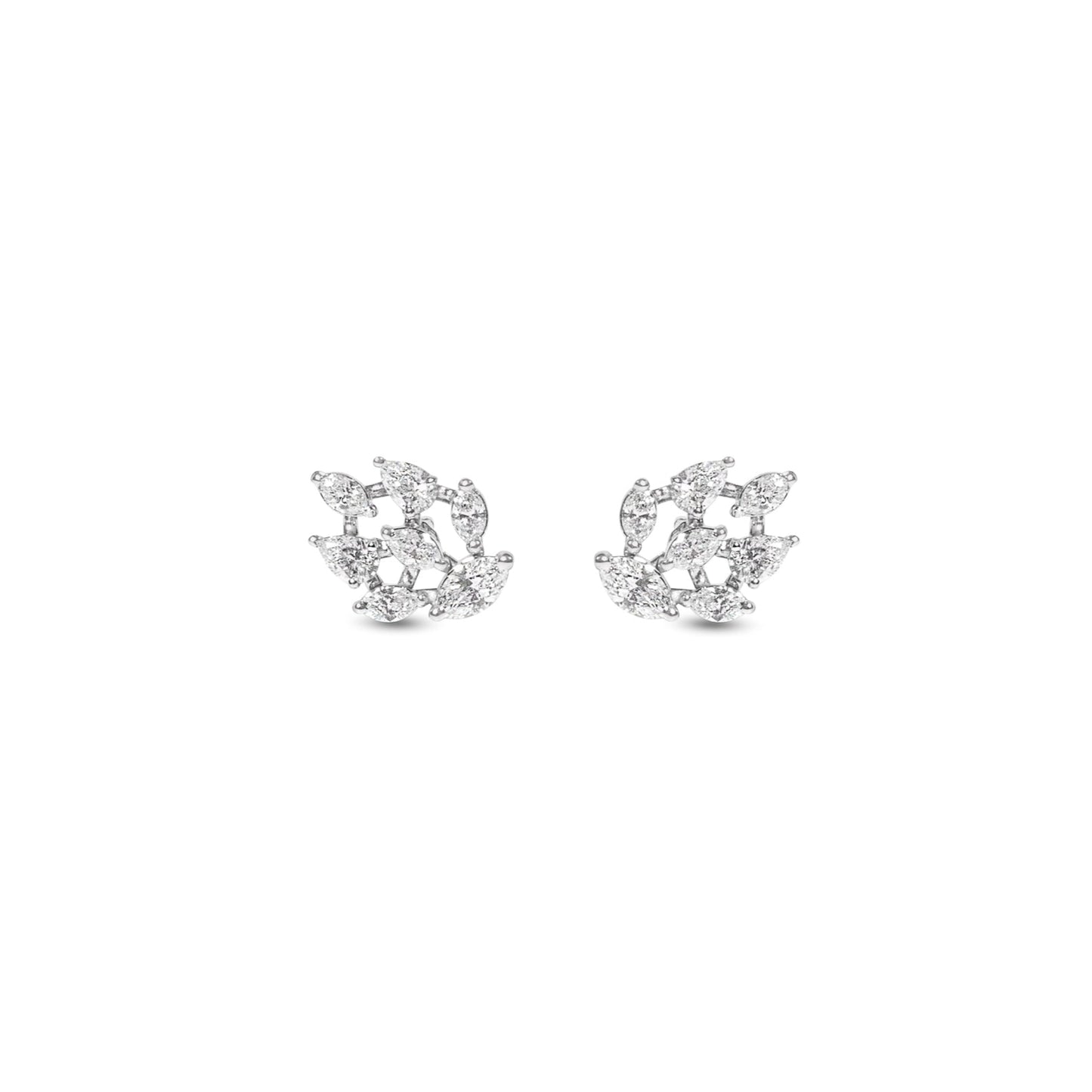 SPARKLING FANCY ETERNA EARRING